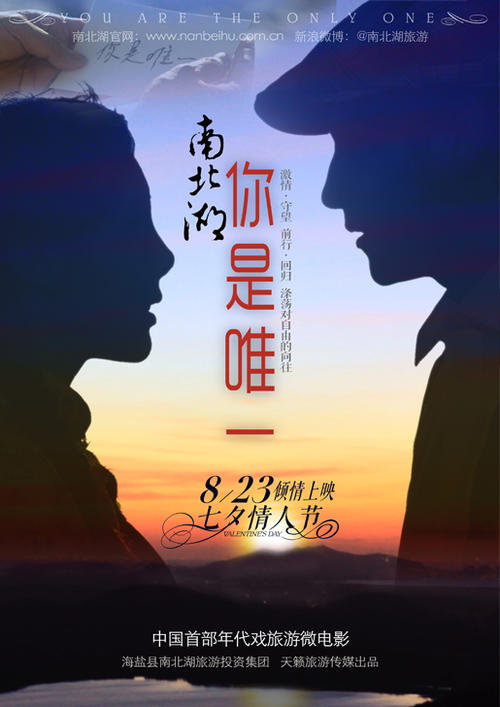 斯旺西大学成绩单电子图